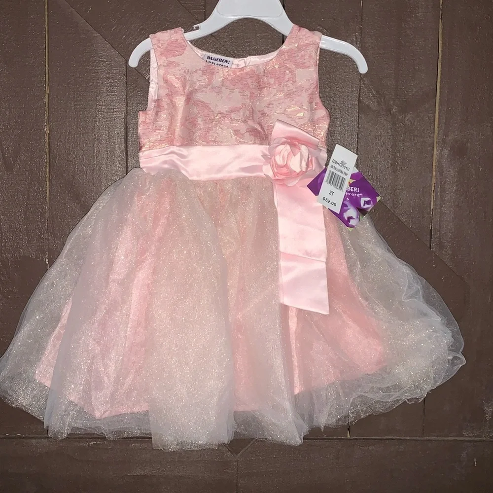 Blueberi Boulevard- little girls dress